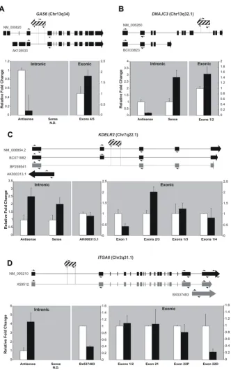 Figure 3mRNAsblack arrows; non-curator-confirmed mRNAs and ESTs are shown by gray arrows; androgen-regulated intronic unspliced tran-scripts are shown by hashed arrows