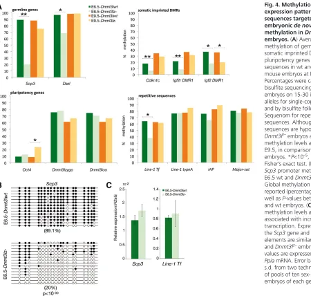 Fig. 4. Methylation and