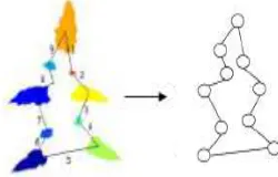 Figure 3. Extracting The Structure Of The Leaf By Establishing A Graph Of Leaflets 
