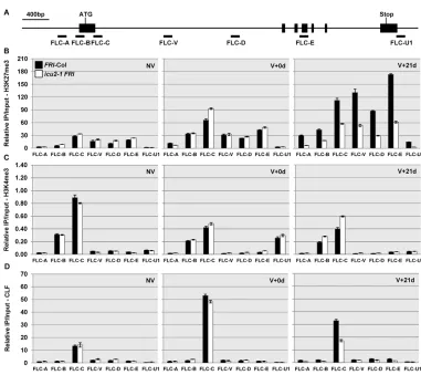 Fig. 3. Role of ICU2 in mitoticH3K27me3 maintenance andthe exons are represented by blackboxes