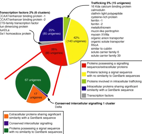 Figure 2Categorization of 331 genes expressed in the H. asinina mantleCategorization of 331 genes expressed in the H