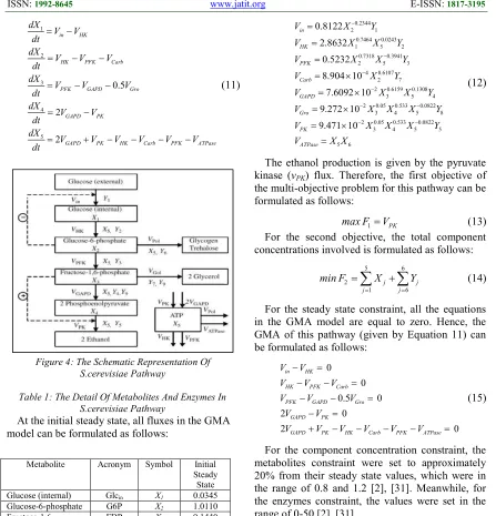 Table 1: The Detail Of Metabolites And Enzymes In S.cerevisiae Pathway At the initial steady state, all fluxes in the GMA 