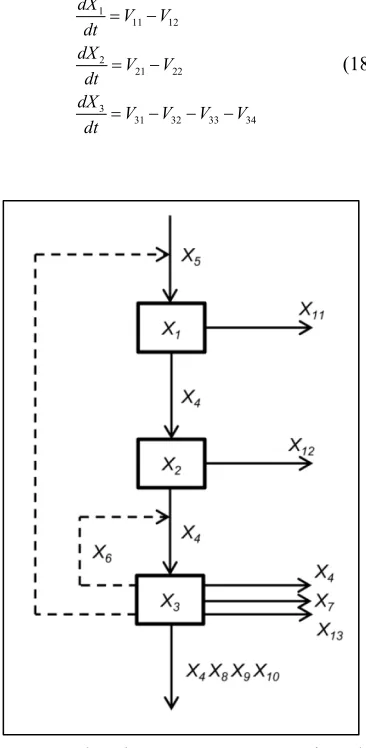 Figure 5: The Schematic Representation Of E.Coli Pathway 