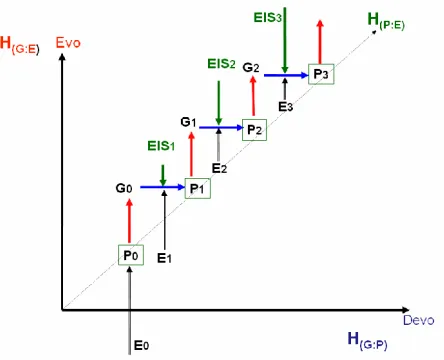 Figure 4: The dashed diagonal shows increment in mutual information content between P and E in an stable E