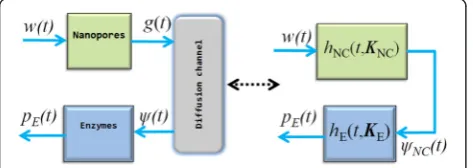 Fig. 14 System diagram of diffusion-controlled transmitter nanopores/surface enzyme-inclusive propagation model