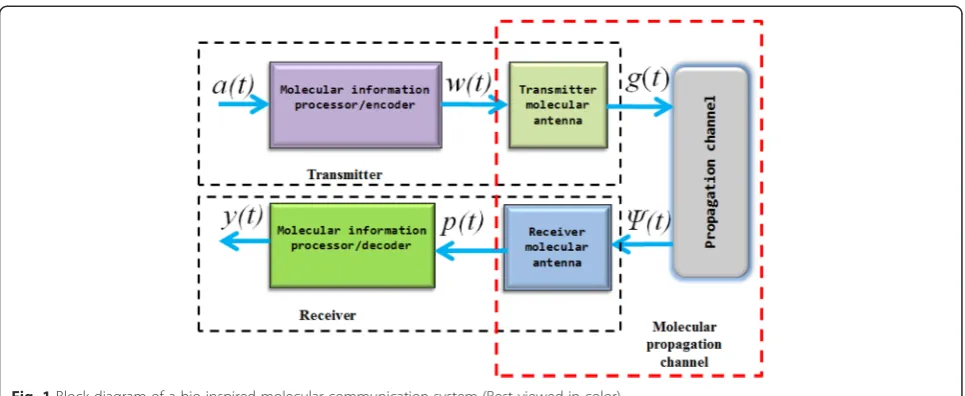 Fig. 2 Block diagram of a molecular propagation channel