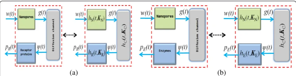 Fig. 3 An illustration of diffusion-controlled interface kinetics-inclusive molecular communication between two nano devices