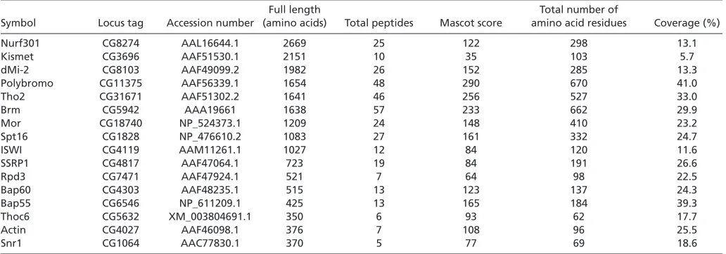 Table 1. MALDI-TOF mass spectrometric analyses of GAGA factor-associated proteins