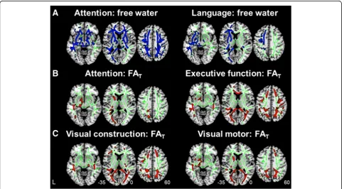 Fig. 4 Free water (FW) increases and FW-corrected tissue compartment deterioration correlated with cognitive deficits