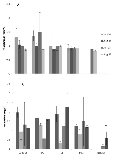 Figure 5: Extractable A) Phosphorus, and B) Ammonium concentrations per gram of soil at each sampling date among all treatments