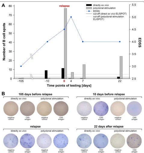Figure 3 ELISPOT results of a patient showing a conversion from pattern III to pattern I