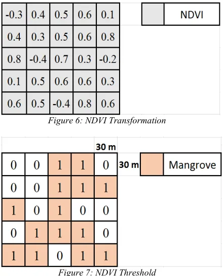 Figure 6: NDVI Transformation 