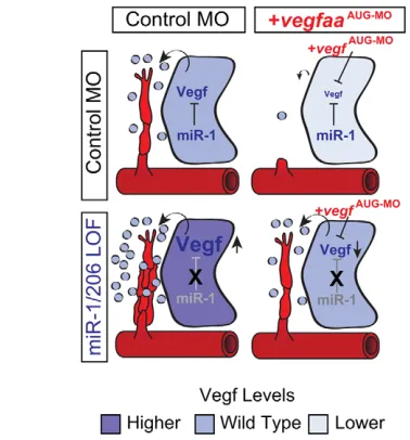 Fig. 4. Target protectors relieve