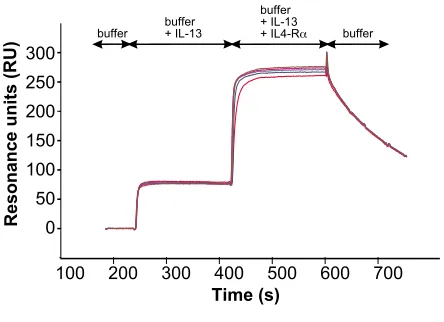 Figure 7�the IL-13/IL13-R13/IL13-RBIAcore analysis of interaction between IL4-R�1 complex and the IL-BIAcore analysis of interaction between IL4-R� and �1 complex