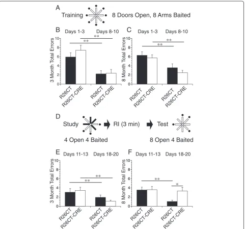 Figure 7 Spatial working memory performance in the 8-arm radial maze for R26CT and R26CT-CRE mice
