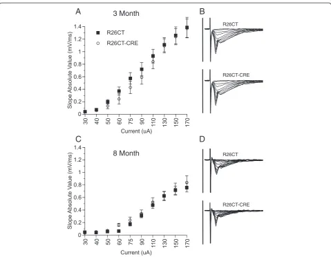Figure 8 Field excitatory post-synaptic potentials (fEPSP) recorded from the ventral hippocampus in R26CT and R26CT-CRE mice.represent the mean ± SEM from n slices