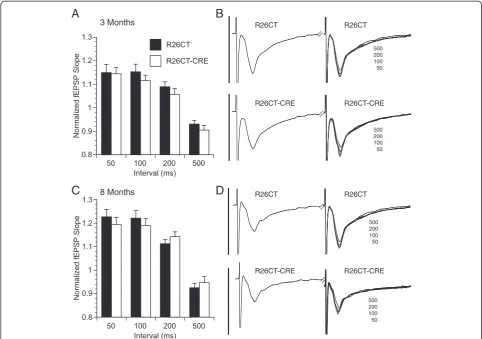 Figure 9 Paired-pulse field excitatory post-synaptic potentials (fEPSP) recorded from the ventral hippocampus in R26CT and R26CT-CRE mice