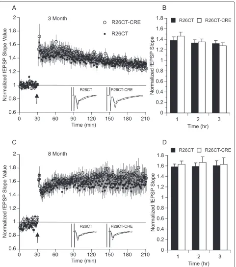 Figure 10 Long-term potentiation of field excitatory post-synaptic potentials (fEPSP) recorded from the ventral hippocampus in R26CTR26CT-CRE (open circle, (n = 11(18))