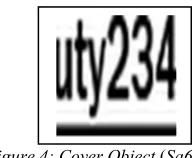 Figure 4: Cover Object (Sa64.Bmp) 