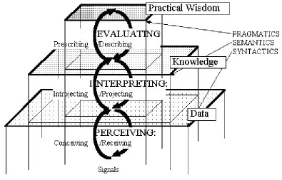Fig. 6.: The generation and differentiation of individual information (see Hofkirchner 1999a)   