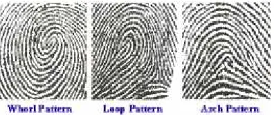 Figure 1: Fingerprint Classification