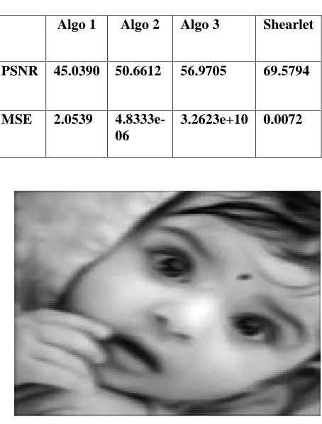 Figure 1:Blur With Noisy Image