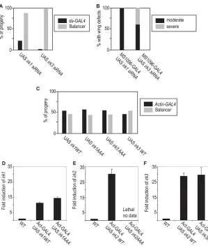 Fig. 4. Irk1 and Irk3 siRNA phenotypes.