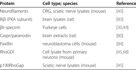 Figure 1 Potential role for merlin isoform 2 in NF2-related neuropathy.RhoGDI [68] and RhoGAP that leads to the local activation of the small GTPase RhoA by GTP loading [45]