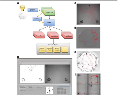 Fig. 1 A novel end-to-end Multi-Animal Tracker software allows recording, tracking, and analyzing multiple animals at a time