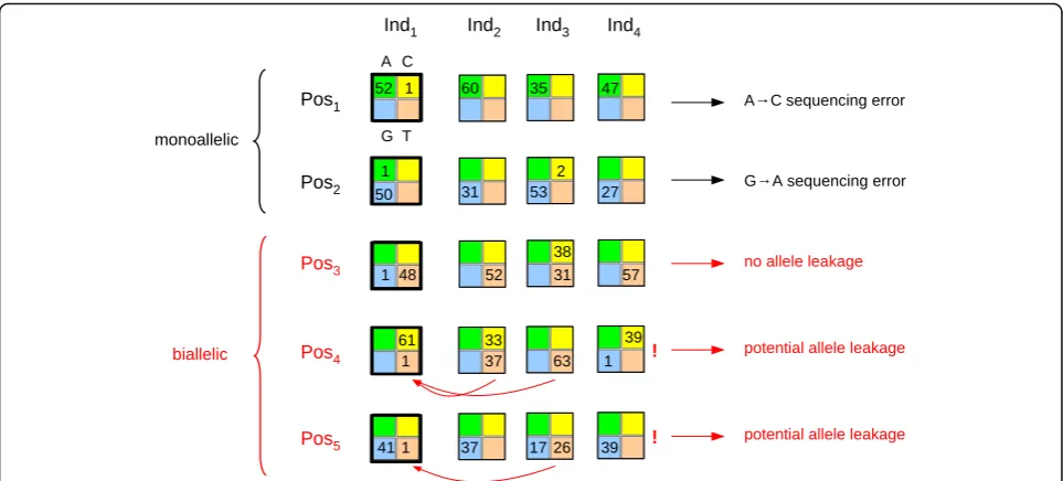 Fig. 1 Detection of within-species contamination through homo-quartet analysis. Each multicolored square represents a quartet, that is, read counts forstates A (green), C (yellow), G (blue), and T (orange) at a specific position in a specific individual, z