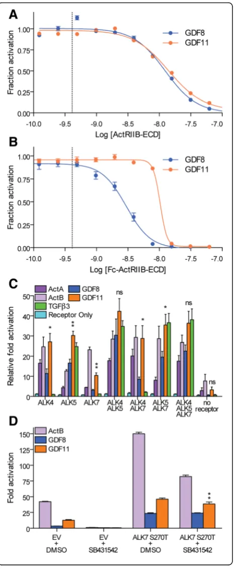 Fig. 6 Enhanced type I receptor utilization by GDF11 compared tocorresponding analysis of the inhibition curves.type I receptor utilization by GDF11 following transient transfectionof a single type I receptor (ALK4, ALK5, or ALK7) or a combinationof type I
