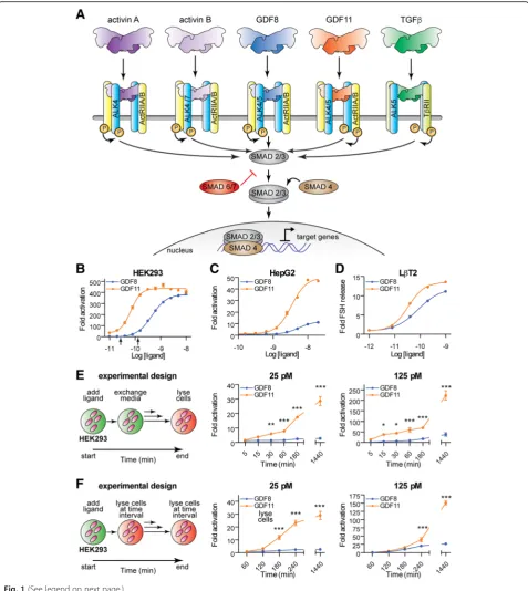 Fig. 1 (See legend on next page.)
