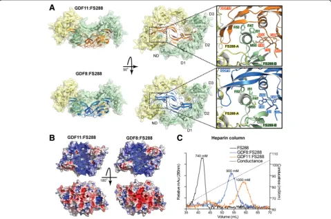 Table 1 Analysis of known antagonists to GDF8 and GDF11 by luciferase reporter assay
