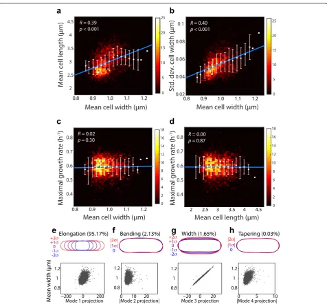 Fig. 4 Morphological analysis of the Keio collection reveals correlations between morphological features but not with growth rate