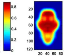 Figure 9: face Template. 