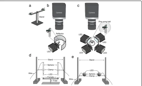 Fig. 1 Graphical illustrations of experimental designs. a T-bar (vertical stand: 3.5 cm tall; horizontal bar: 7.5 cm long) with two Lucilia sericata fliesmounted on their abdominal ventrum to leave their legs without support and thus induce a wing fanning 