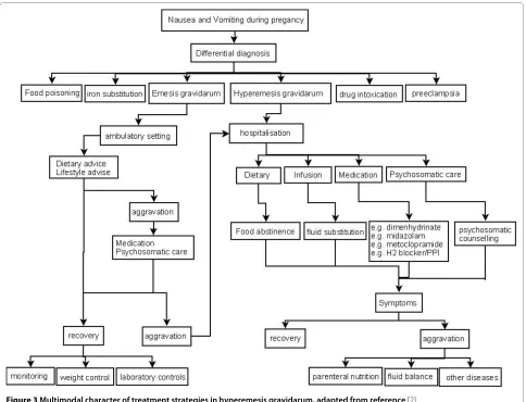 Figure 3 Multimodal character of treatment strategies in hyperemesis gravidarum, adapted from reference [2].