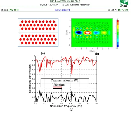 Figure 3: (a) Workspace chosen for the FDTD simulation of the guide W1 defined                  