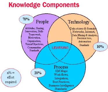 Figure 1: KM Components (Dilip Bhatt, 2000) 