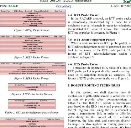 Figure 5: RTT Acknowledgement Packet Format  
