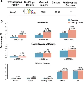 Fig. 2. Analyses of motifs and peak distribution inFoxa2-bound regions. enrichment relative to the genome background ofFoxa2 peaks with respect to different gene features.The transcription factor binding motifs within 60 bp of thecenter of Foxa2 peaks