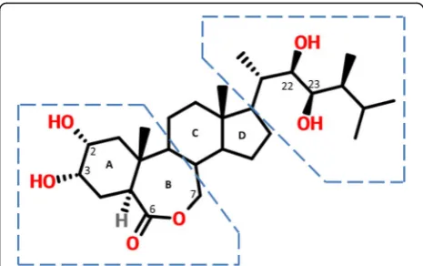 Fig. 1. The chemical structure of brassinolide (BL) with the steroidrings labelled as A, B, C and D