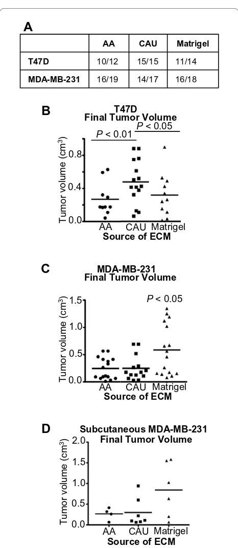 Figure 3 Caucasian-American derived extracellular matrix mole-the number of tumors detected per animals injected