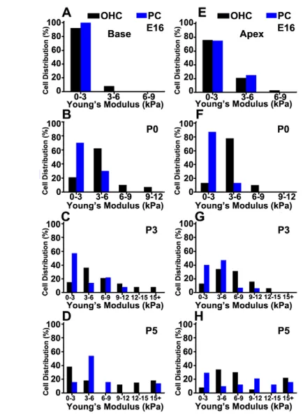Fig. 3. OHCs and PCs have different mechanical properties.(A-D)Histogram plots show different distributions in Young’s modulusbetween basal OHCs (black) and PCs (blue) from E16 to P5 (P<0.05).(E-H)In apical regions, OHCs and PCs have similar distribution