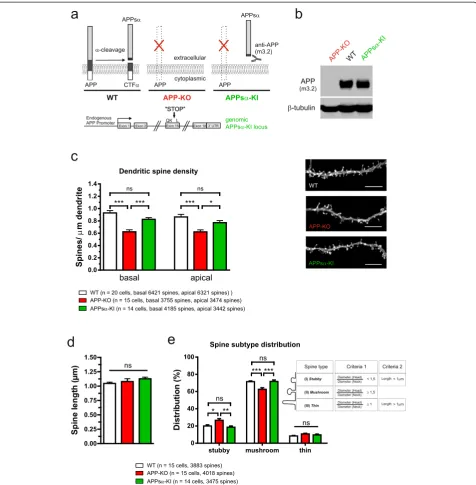 Figure 5 APP-KO neurons exhibit alterations in spine density and spine type distribution that are rescued in CA1 neurons of APPs(b)a negativ control,determination: WT n = 20, APP-KO n = 15, APPs(Scale bar: 5the relative frequency of spine types