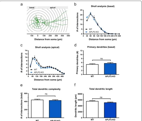 Figure 1 APLP2-KO CA1 neurons show a WT-like morphology. (a) Schematic representation of morphometric Sholl analysis