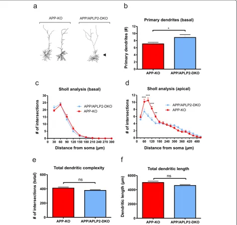 Figure 3 Pyramidal cells from combined APP/APLP2-DKO neurons show additional defects in dendritic complexity compared toAPP-KO single mutants