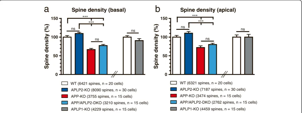 Figure 4 Comparative analysis of APP/APLP mutant mice reveals a reduction in spine density only in APP and APP/APLP2-DKOsignificant reductions in spine density, as compared to either WT or APLP2-KO mice
