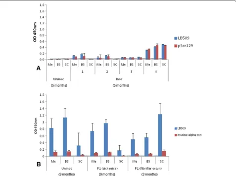 Figure 5 Species and time-specific detection of disease-associated α-synuclein (αSD) in selected neuro-anatomical regions