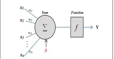 Figure 1. Biological View Of Neuron.  